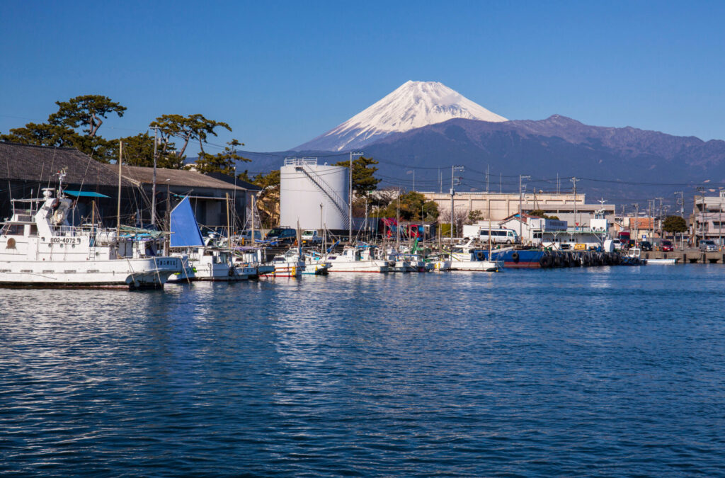 沼津の街並み